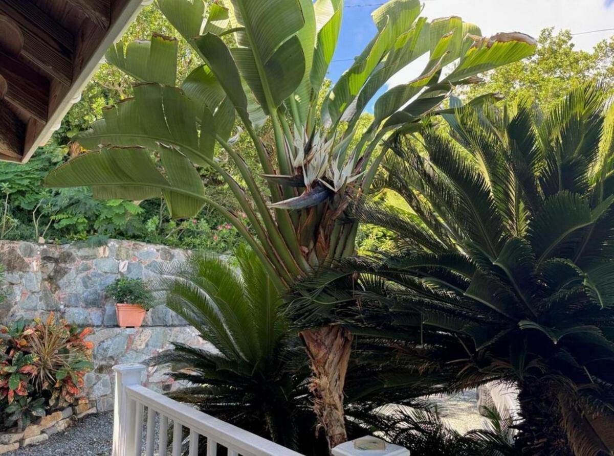 Blue Pearl Villa In St John Usvi Coral Bay Exteriör bild