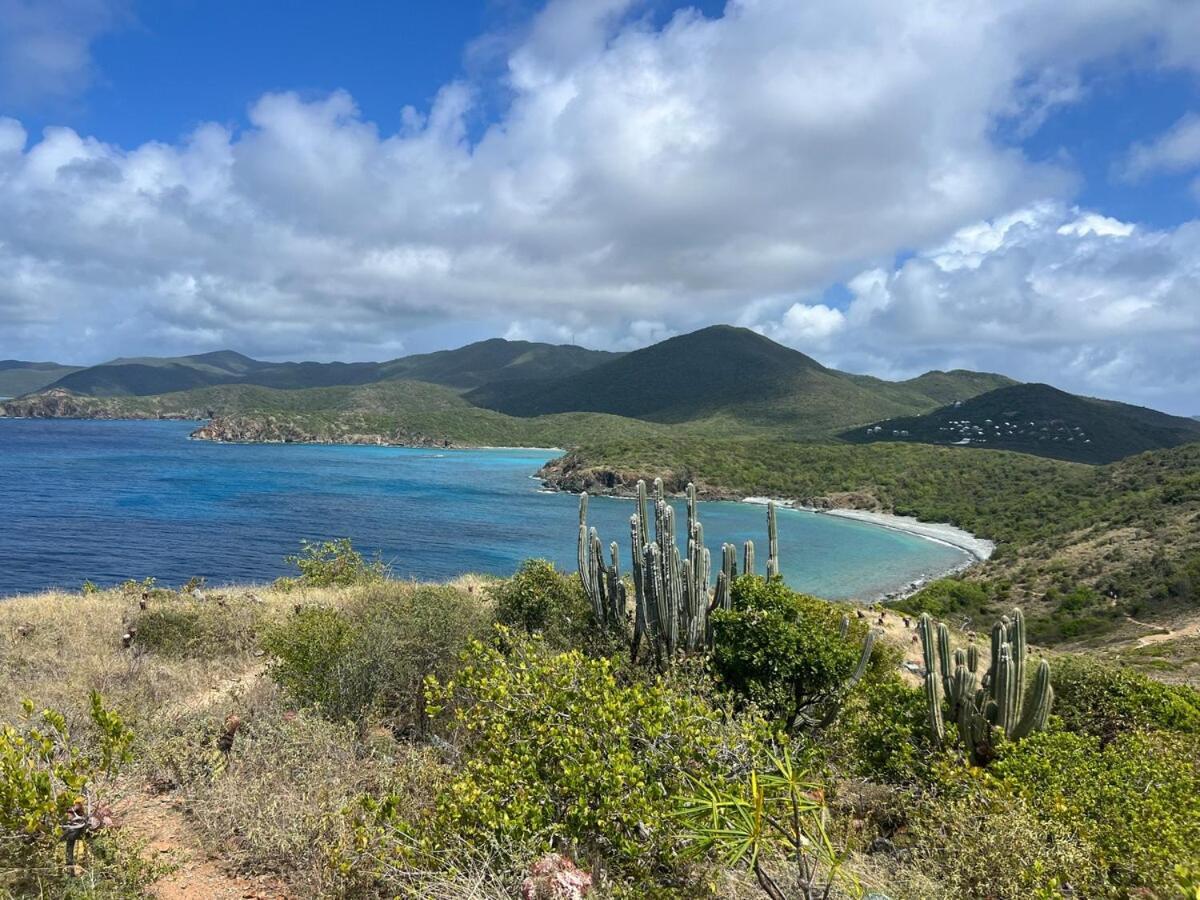 Blue Pearl Villa In St John Usvi Coral Bay Exteriör bild